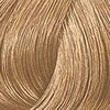 Plaukų dažai Wella Professionals Color Touch 60ml - 8/3