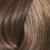 Wella Color Touch Plus plaukų dažai 60 ml - 66/07
