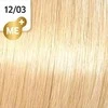 Wella Koleston Perfect Me+ plaukų dažai 60ml - 12/03