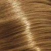 Wella Illumina Color 8/38 plaukų spalvos pavyzdys