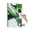 Artgeist Tapybos pagal skaičius rinkinys - Monstera Adansonii