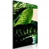 Artgeist Paveikslas - Dieffenbachia (1 Part) Vertical