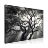 Artgeist Paveikslas - Lighted Branches (1 Part) Wide