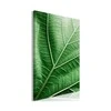 Artgeist Paveikslas - Malachite Leaf (1 Part) Vertical