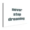 Artgeist Paveikslas - Never Stop Dreaming (1 Part) Wide