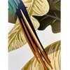 Fototapetai - Džiunglių gyvūnai 350x245cm