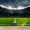 Fototapetai - Futbolo stadionas 200x140cm (PASKUTINIS)