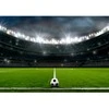 Fototapetai - Futbolo stadionas 200x140cm (PASKUTINIS)