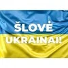 Magnetinis lipdukas Ukrainos vėliava 1+1 DOVANU
