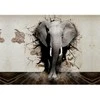 Fototapetai Dramblys namuose