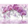 Fototapetai - Drugelių orchidėja