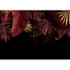Fototapetai - Džiunglių kompozicija raudoni ir auksiniai lapai juodame fone