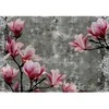 Fototapetai - Flora ir faunos siluetai