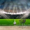 Fototapetai - Futbolo stadionas