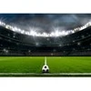 Fototapetai - Futbolo stadionas