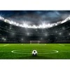 Fototapetai - Futbolo stadionas II