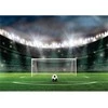 Fototapetai - Kamuolys futbolo stadione