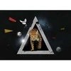 Fototapetai - Leopardo pasaulis