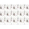 Fototapetai - Miško pasaka