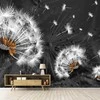 Fototapetai - Naktinės kiaulpienės