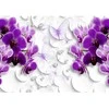 Fototapetai - Orchidėjos brangakmeniai