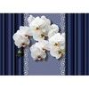 Fototapetai - Orchidėjos mėlyname fone