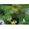 Fototapetai - Orchidėjos miške