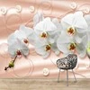 Fototapetai - Orchidėjos pasteliniame fone