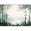 Fototapetai - Retro peizažas giraitė ir tvenkinys žalsvais atspalviais