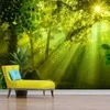 Fototapetai - Saulėtame miške