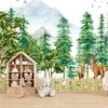 Fototapetai – Ten, kur bunda miško stebuklai