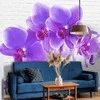 Fototapetai - Užburiančios orchidėjos