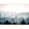 Fototapetai - Žiemos miškas