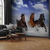 Fototapetai - Žirgai sniege