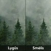 Fototapetų pavyzdys – pasirinkite dizainą ir tekstūrą