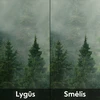Fototapetų pavyzdys – Fototapetų pavyzdys