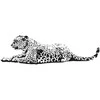 Interjero lipdukas Leopardas 170x50cm