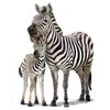 Interjero lipdukas Zebrai 50x70cm