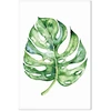 Paveikslas Akvarelinė monstera