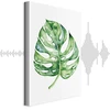 Paveikslas Akvarelinė monstera