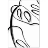 Paveikslas Balta Monstera