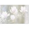 Paveikslas Baltos magnolijos