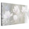 Paveikslas Baltos magnolijos