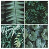 Paveikslas Botaninė gelmė