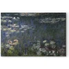 Paveikslas Claude Monet - Vandens lelijos. Žali atspindžiai