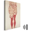 Paveikslas Egon Schiele - Stovinti moteris raudonai