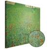 Paveikslas Gustav Klimt - Aguonų laukas