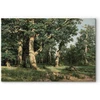 Paveikslas Ivan Shishkin - Ąžuolų miškas