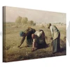 Paveikslas Jean François Millet - Rinkėjos