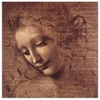 Paveikslas Leonardo da Vinci - Jaunos moters galva (Leda)